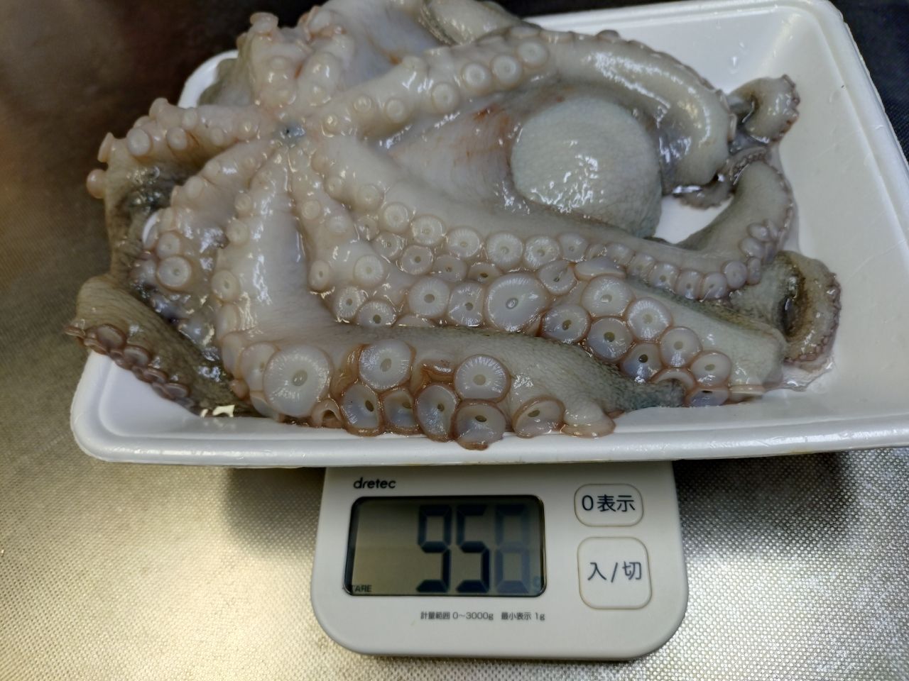 タコ