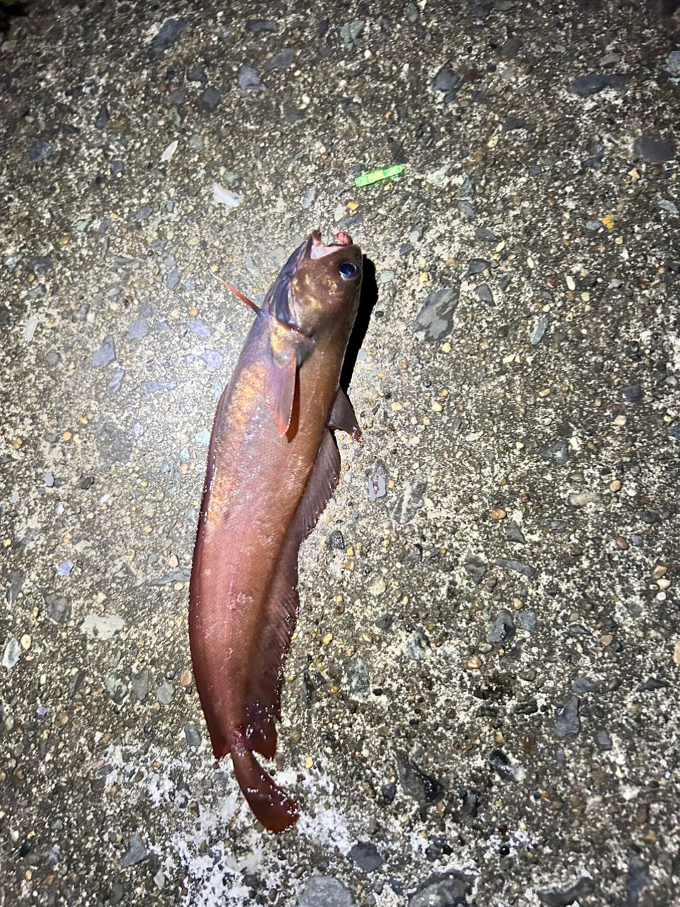 チゴダラ