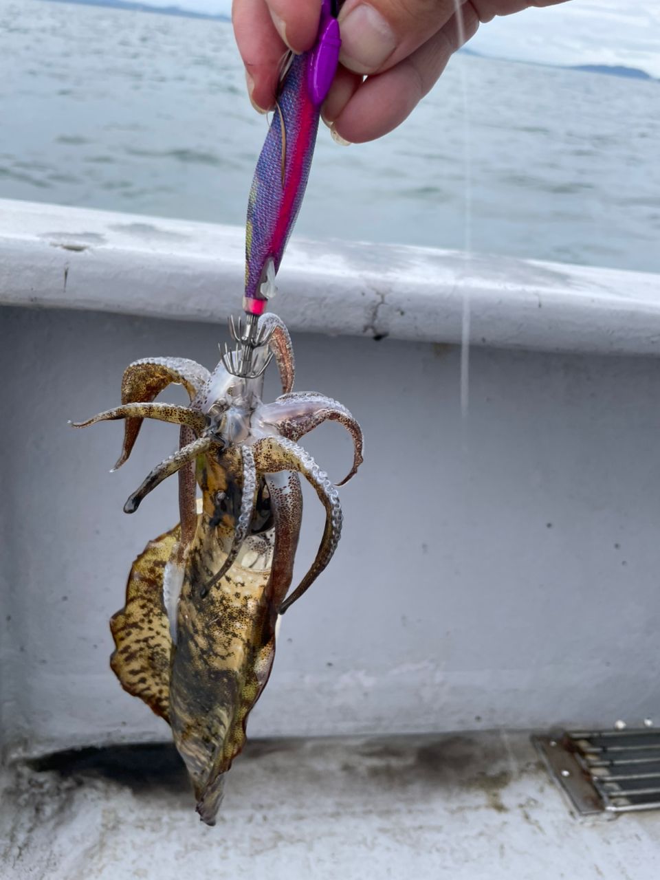 ジギング見習いさんの釣果 1枚目の画像