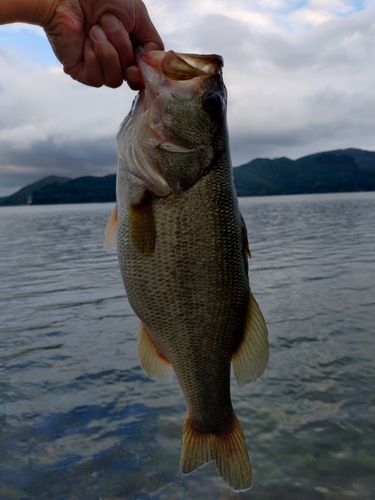 琵琶湖北湖