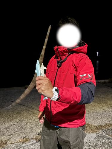 アオヤガラの釣果