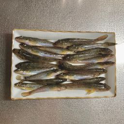 ハゼ