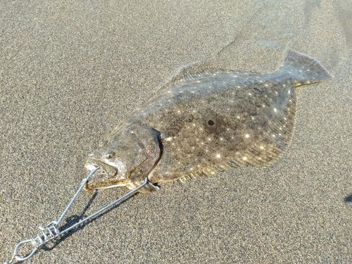 釜谷浜海水浴場