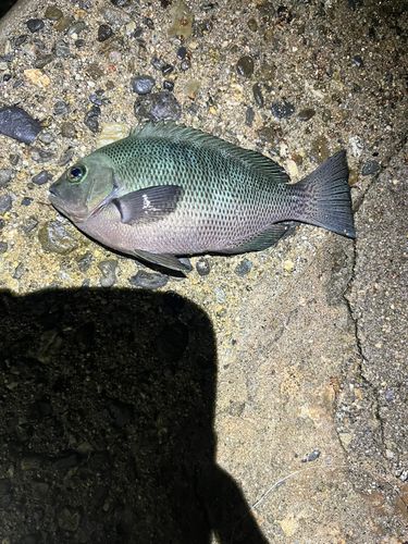 日本鋼管付近