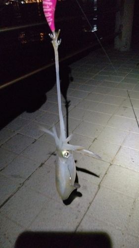 ベイサイドビーチ坂
