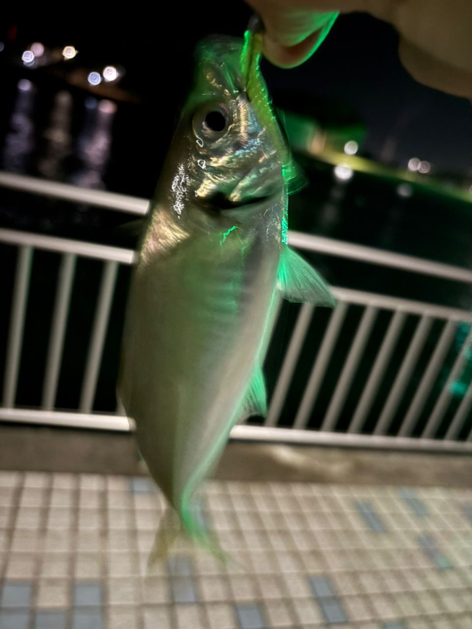 アジ