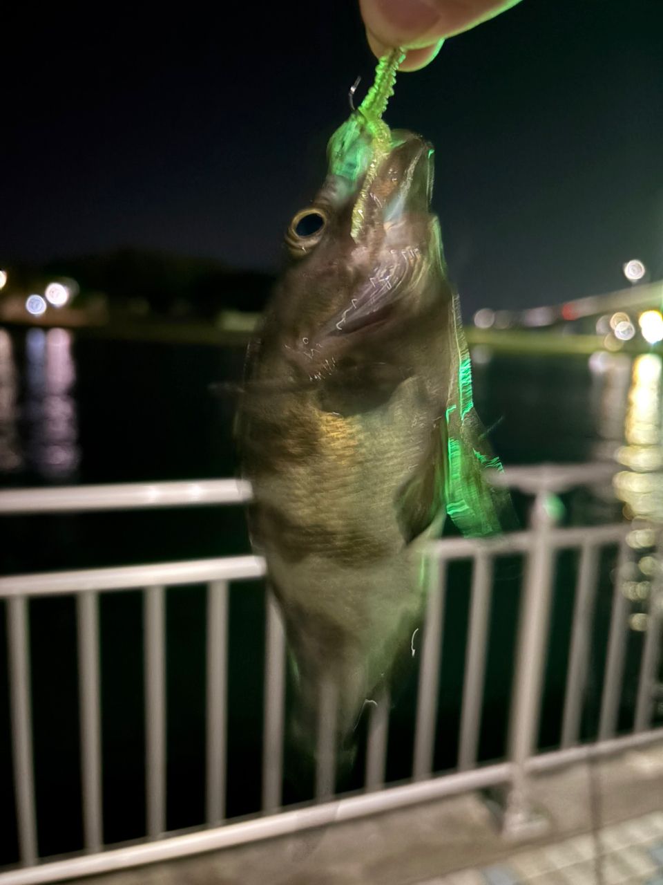 アジ