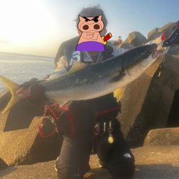 ブリ