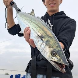 サワラ