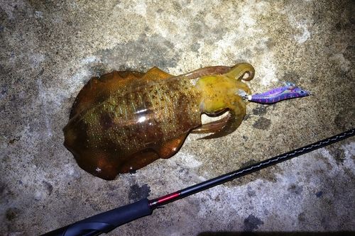 津軽半島