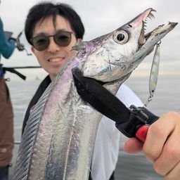 タチウオ