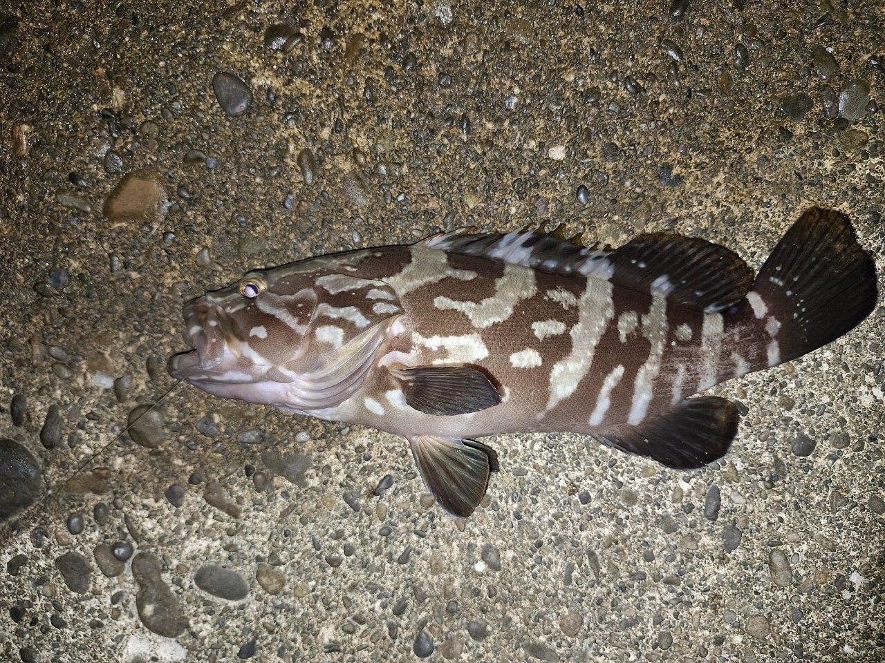 クエ