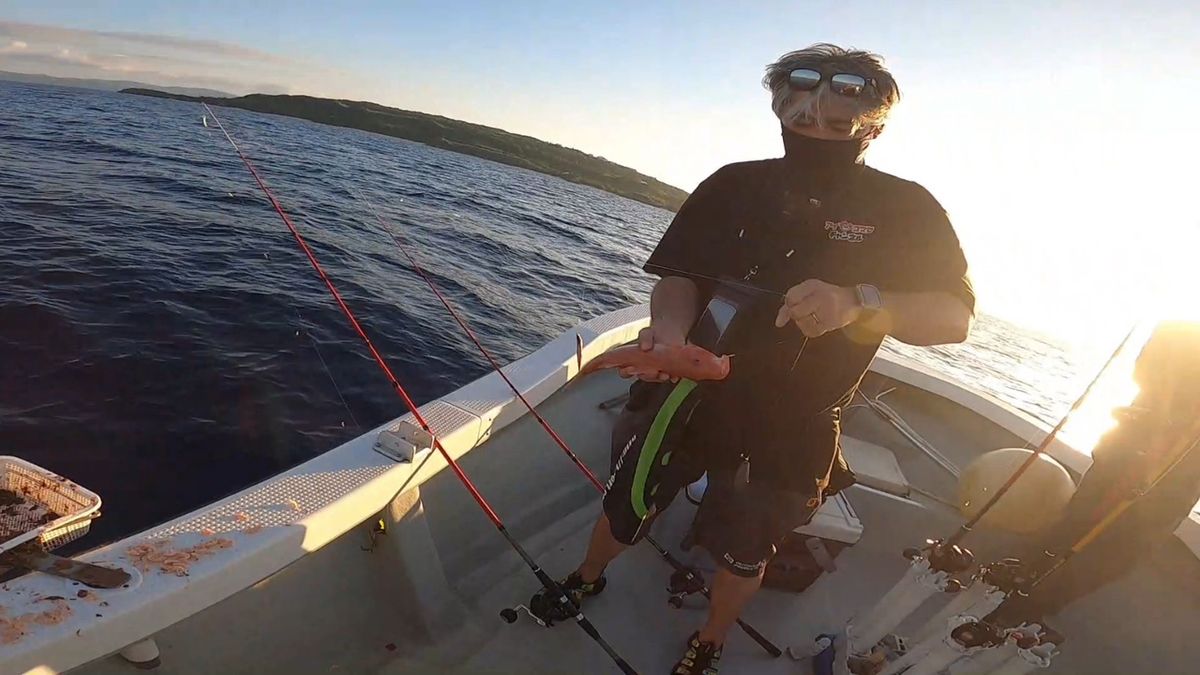 まなひなさんの釣果 2枚目の画像