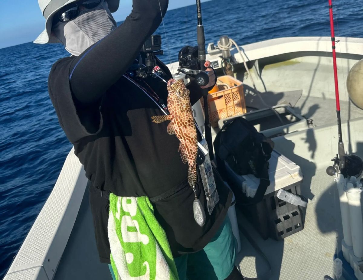 まなひなさんの釣果 2枚目の画像