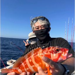 ハンゴーミーバイ