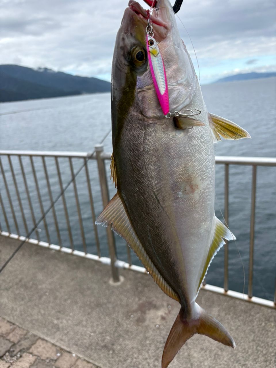 本日最終日値下げ　CROSRIDE 5G XR5-942ML/LSJ メジャークラフト クロスライド 5g XR5 942ML LSJ