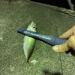 アジ