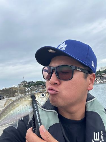 マアジの釣果