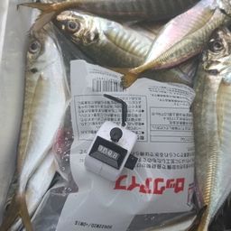 アジ