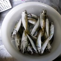 アジ