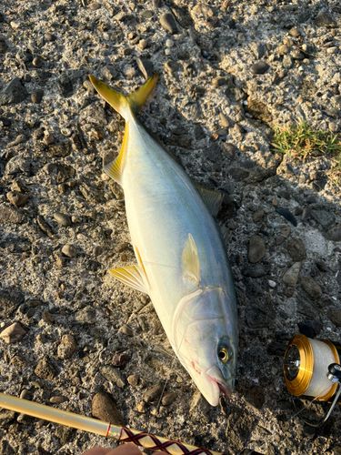 釣果