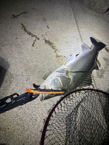 十三湖