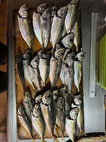 本牧海づり施設