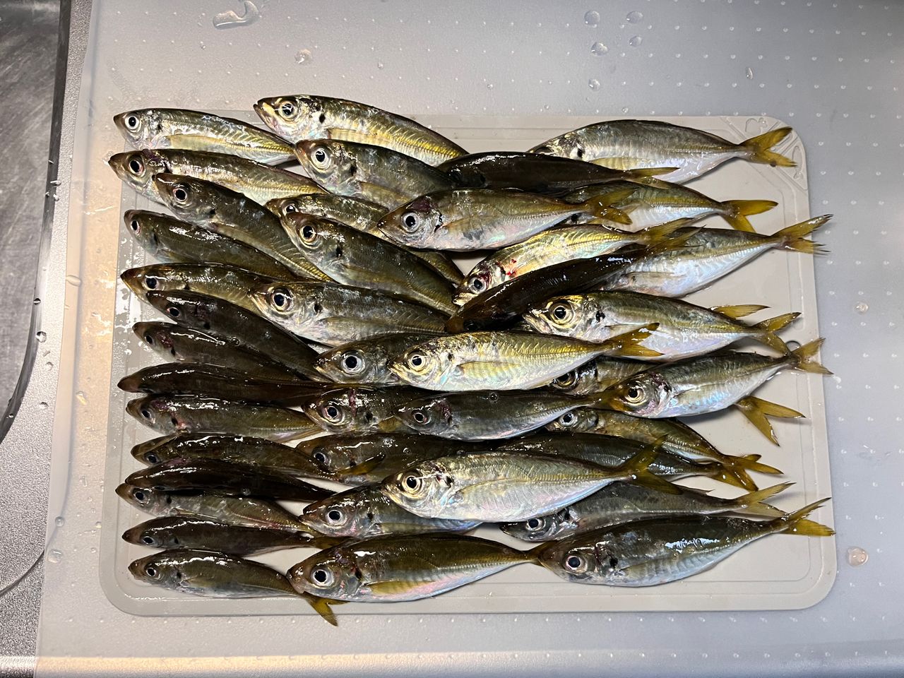 SHIMANO 22ソアレ SS アジング S54SUL-Sの最安値・インプレ・釣果