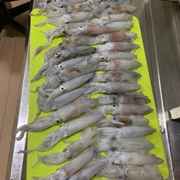 マメイカ