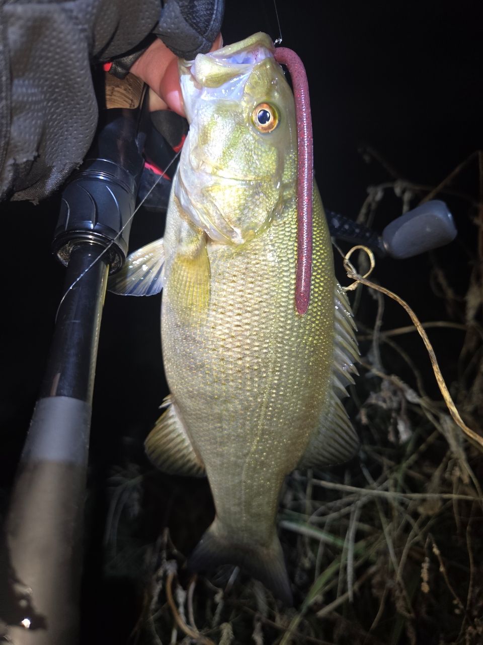 ブレイゾン S64L-2 ST ダイワ ブレイゾン S64L-2・ST 2021モデル (スピニング2ピース