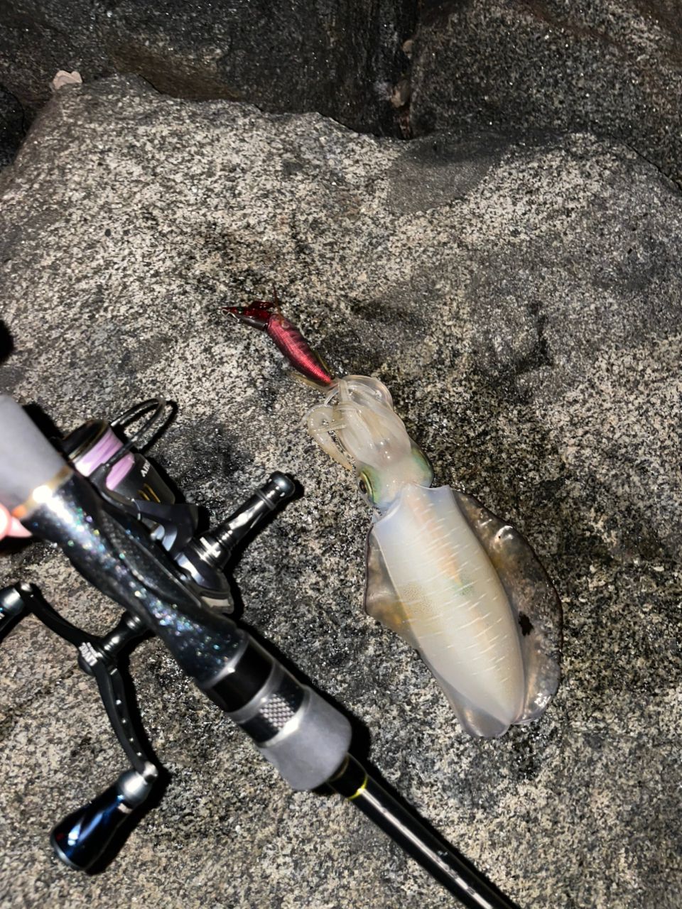 tailwalk エギスト TZ 77MLの最安値・インプレ・釣果 | 本音の口コミが