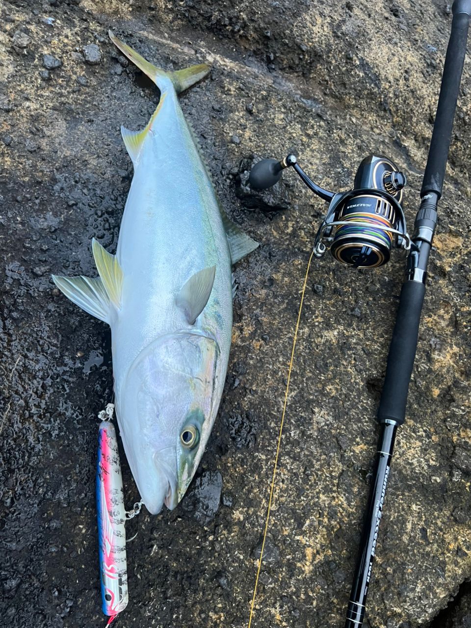 ダイワ ソルティガ EX 12ブレイド 1.2号 (27lb) 600m ダイワ ソルティガ EX 12ブレイド 1.2号 (27lb) 600m ソルティガ 12