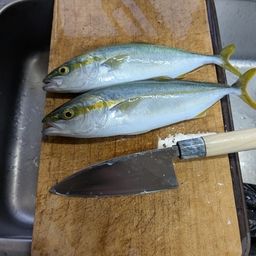 ワカシ