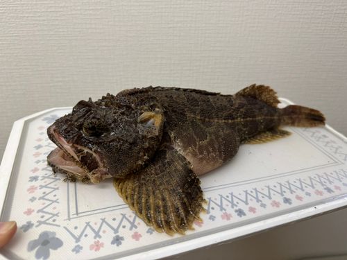 室蘭港