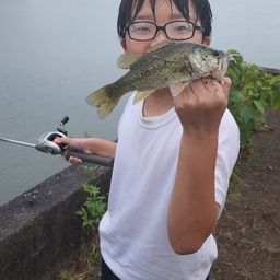ブラックバス