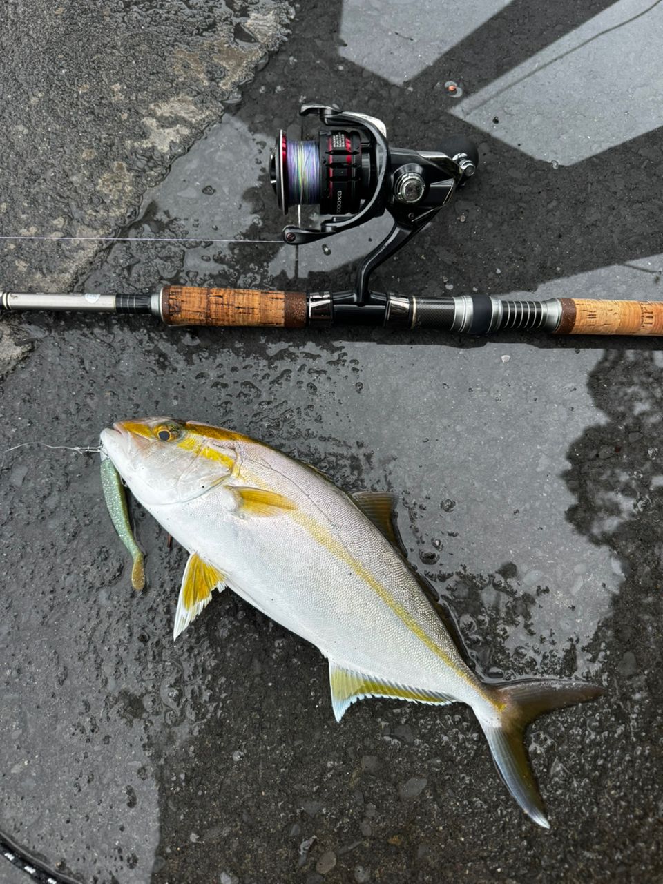 SHIMANO 20ヴァンフォード 4000XGの最安値・インプレ・釣果