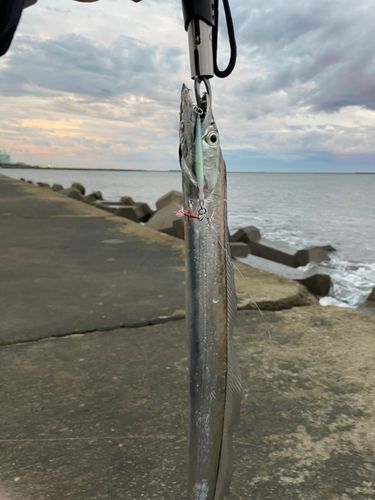 網代浜海水浴場