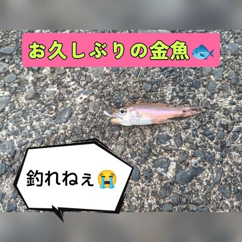 親水広場