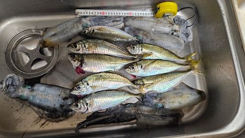 七尾北湾