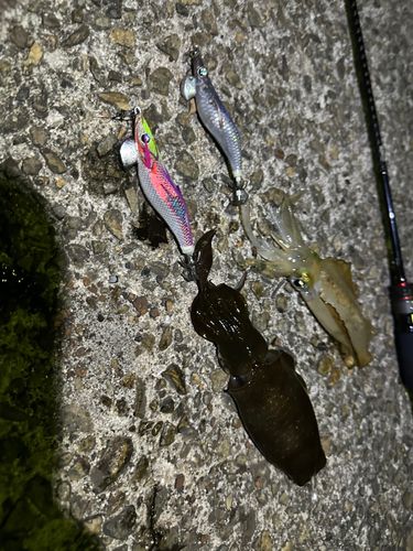 しまなみ海道