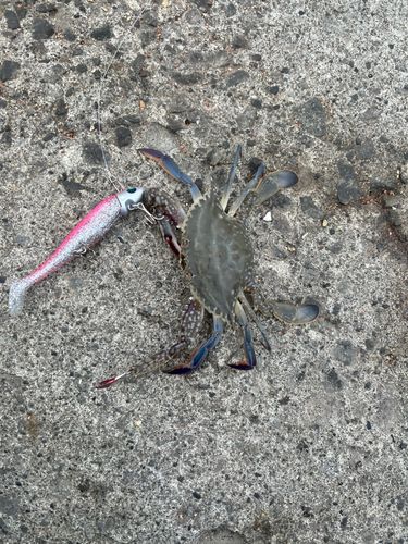 石狩湾新港