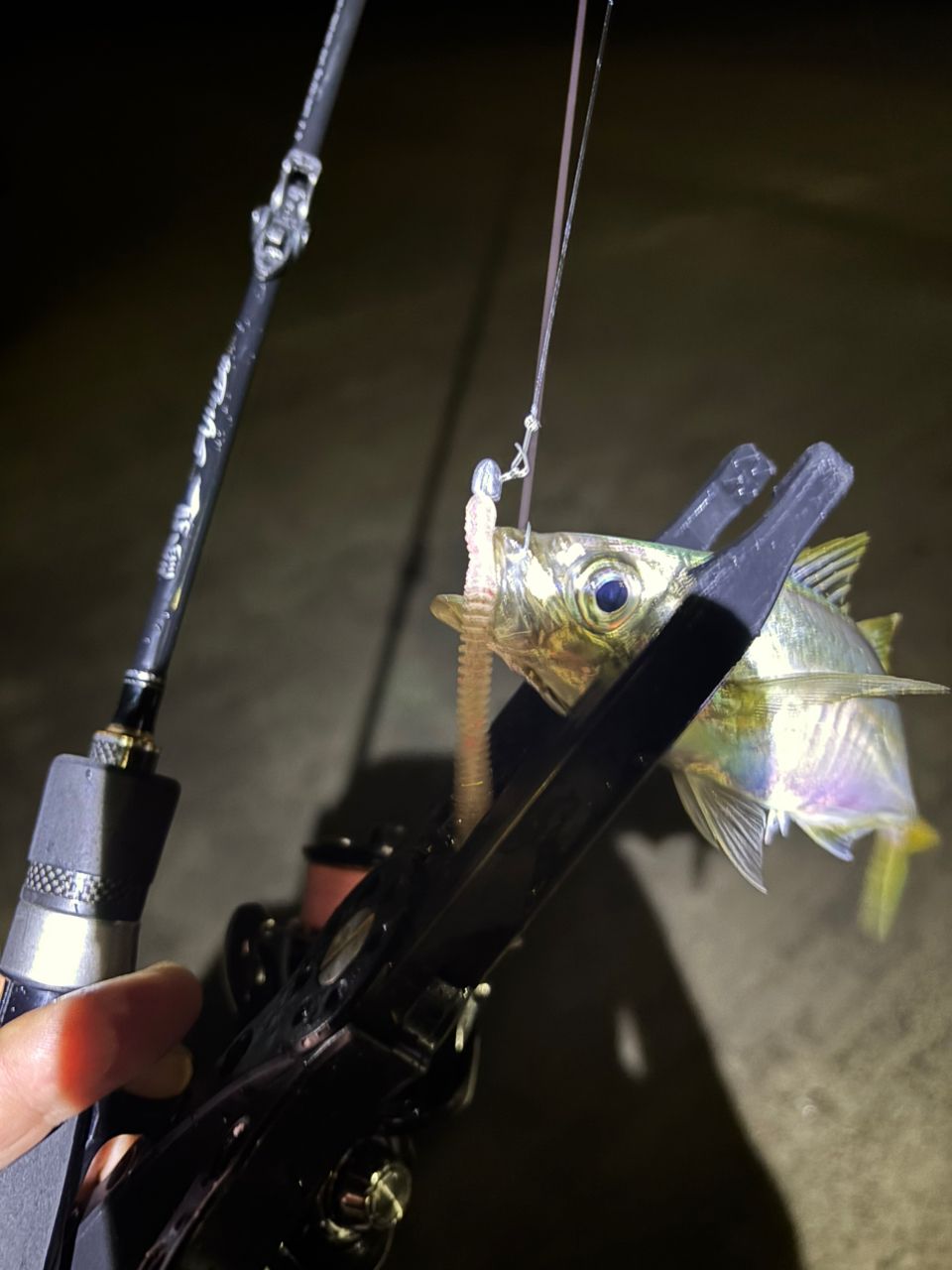 鯵道1G AD1-S622L ほぼ新品 Major Craft 【在庫限定特価】メジャークラフト 鯵道 アジドウ