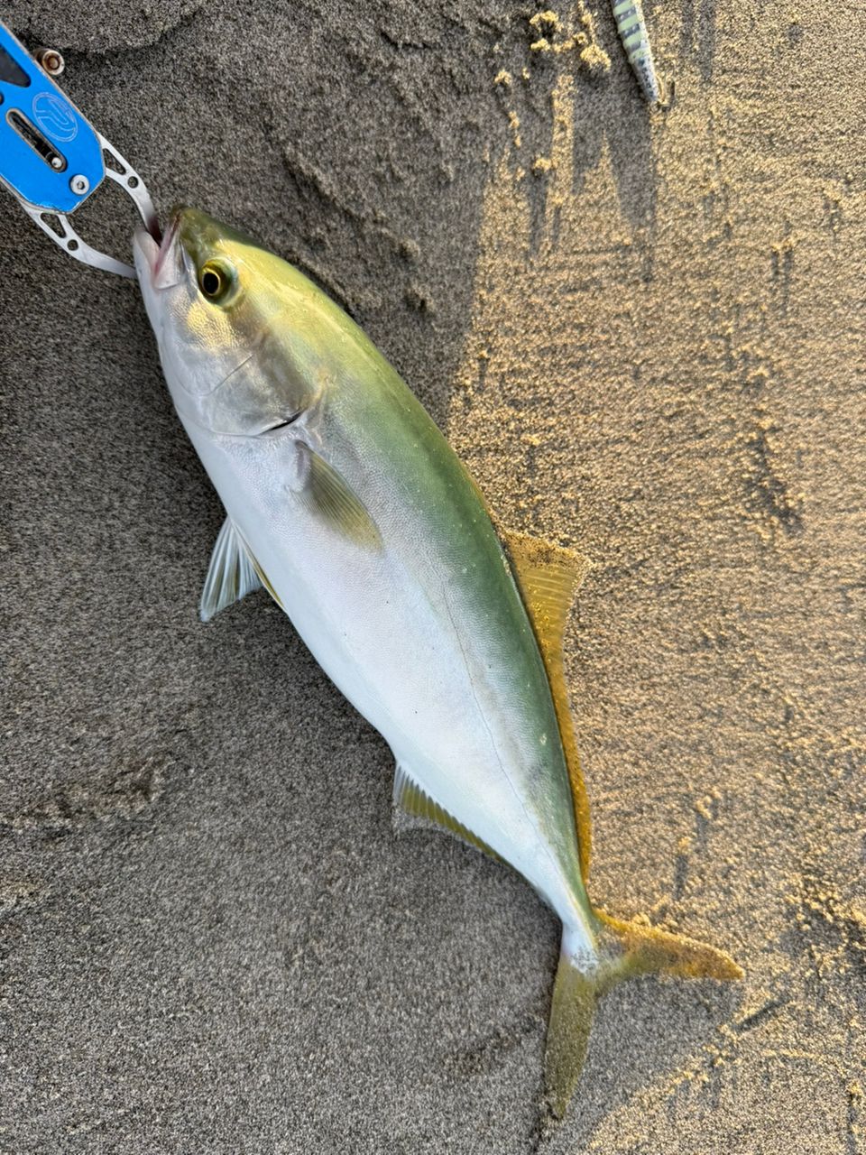 値下げしました。バリスティックヒラ107MH TZ NANO ロッド]ヤマガブランクス バリスティック・ヒラ Ballistick HIRA