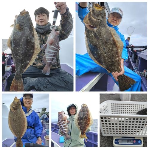 ヒラメの釣果