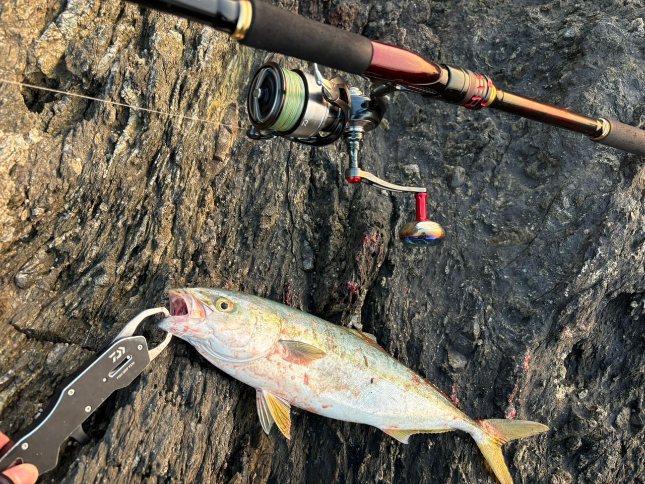 DAIWA 21オーバーゼア グランデ（サーフモデル） 97Mの最安値