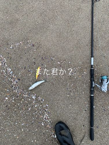仙台沖
