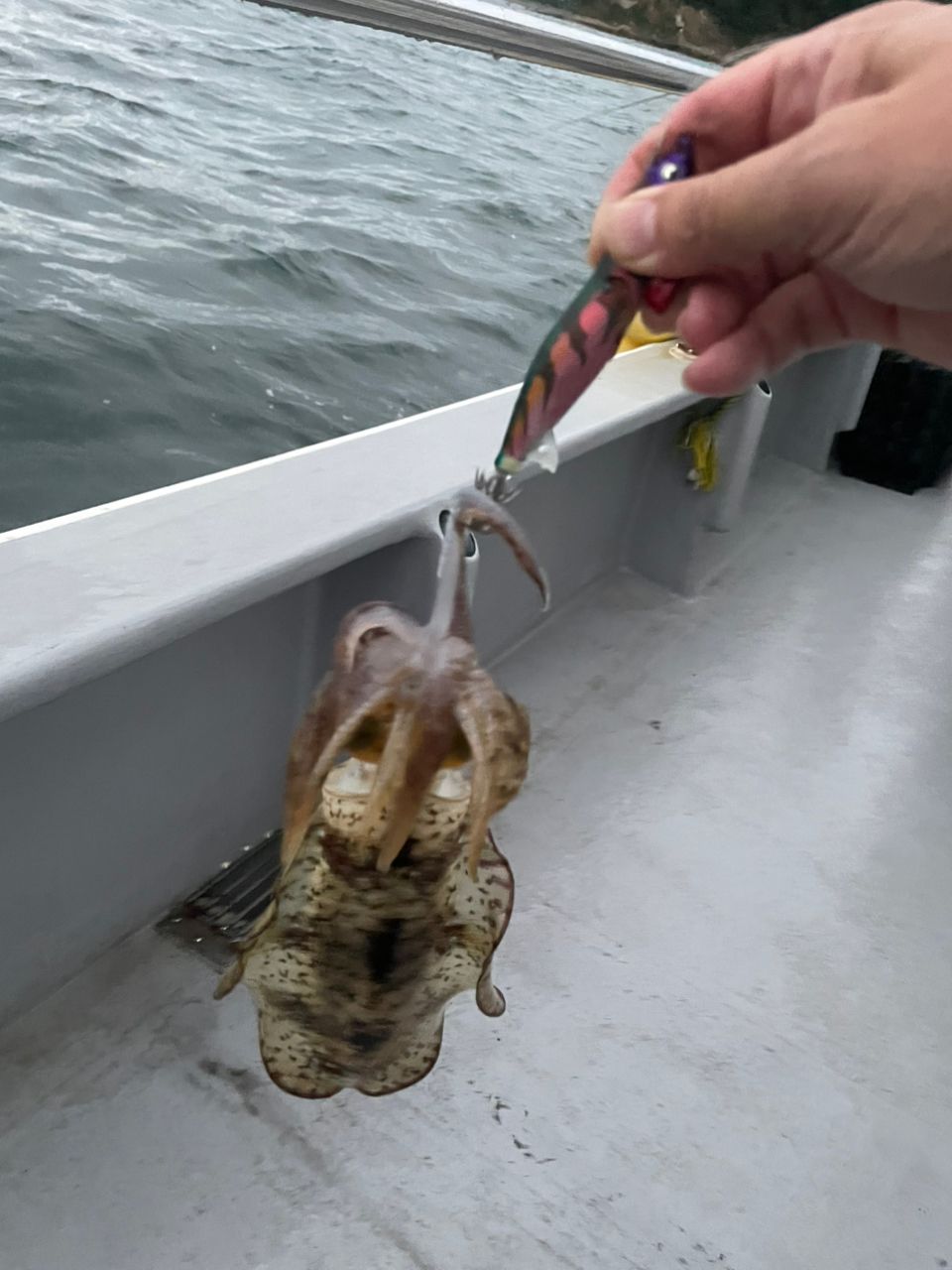 ジギング見習いさんの釣果 1枚目の画像