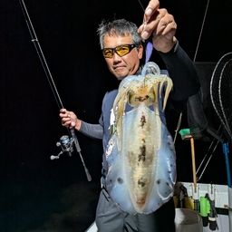 アオリイカ
