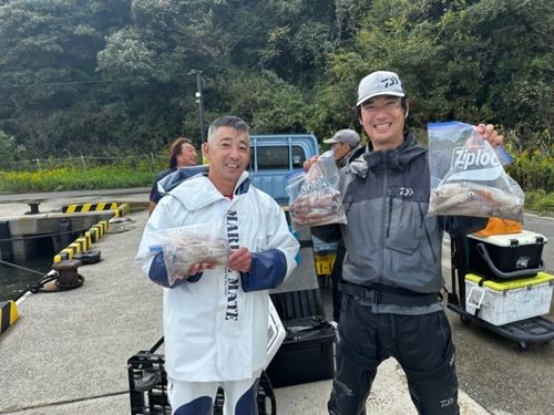 ヤリイカの釣果