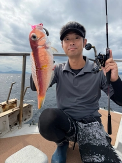 アマダイの釣果